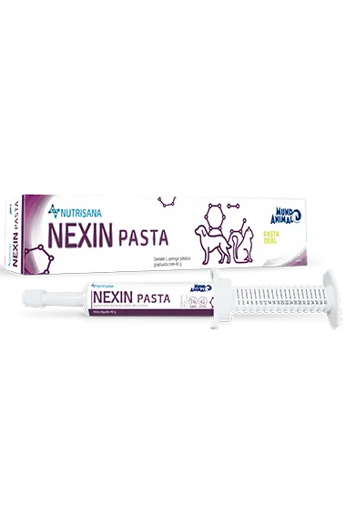 NEXIN PASTA NUTRISANA - MUNDO ANIMAL 40G (2643)