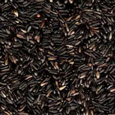 NIGER - CANTORIA 1KG (806)