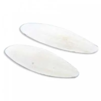 OSSO DE SIBA INTEIRO M (482)