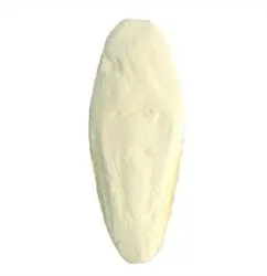 OSSO DE SIBA INTEIRO P (1631)