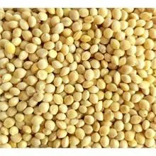 PAINCO BRANCO - ANIMAIS E CIA 1KG (2750)