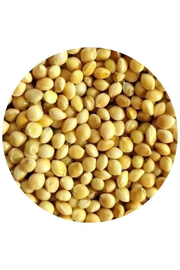 PAINCO BRANCO - ANIMAIS E CIA 250G  (2760)