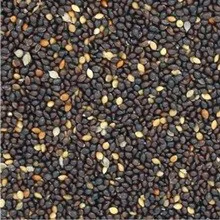 PAINCO PRETO - CANTORIA 1KG (1521)