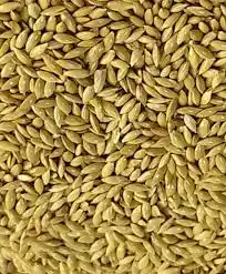 ALPISTE - GRAO VERDE 250G (792)