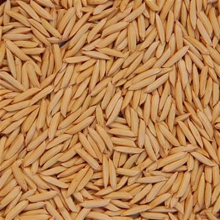 ARROZ C/ CASCA - CANTORIA 1KG (802)