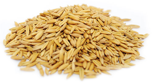 AVEIA - CANTORIA 250G (800)