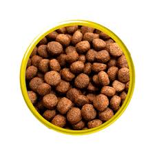 BISTEDOG ADULTOS - CEDAN RACOES 1KG (2584)