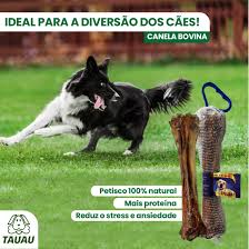 CANELA BOVINA - TAUAU (1639)