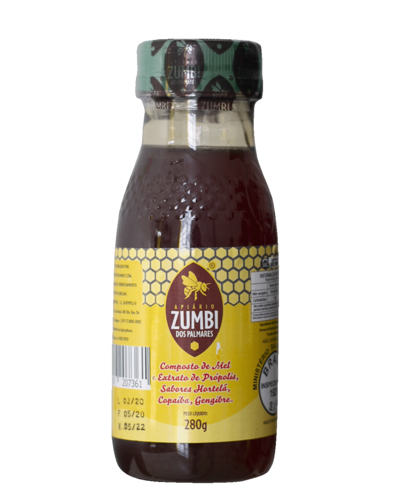 COMPOSTO DE MEL E EXTRATO DE PROPOLIS VERDE 280g APIARIO ZUMBI