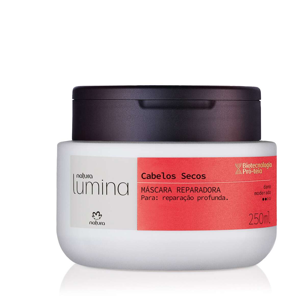 MASCARA REPARADORA NATURA 250ML (290)