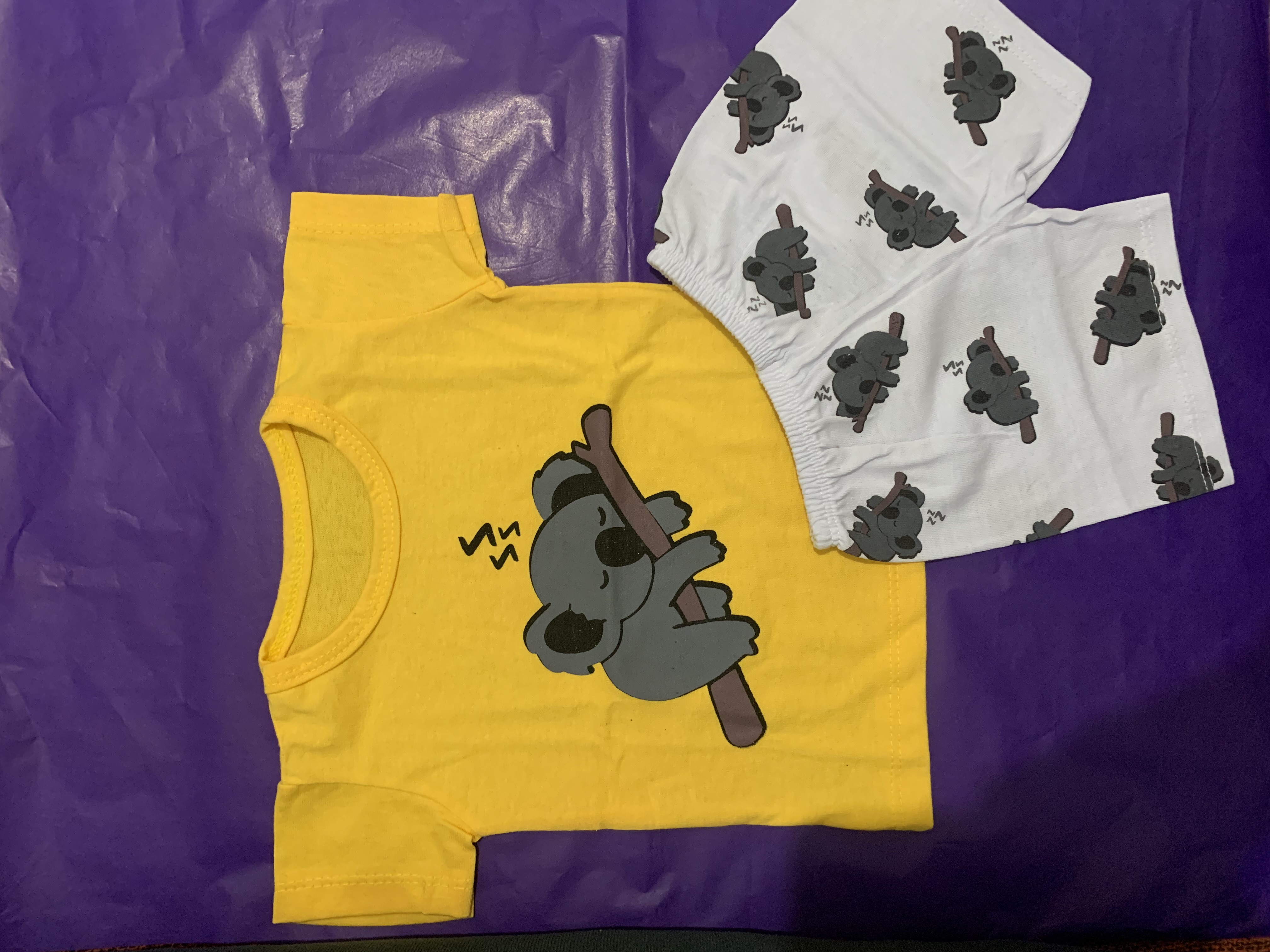 Conjunto verão Bichinho preguiça