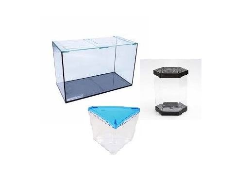 Aquários e Beteiras