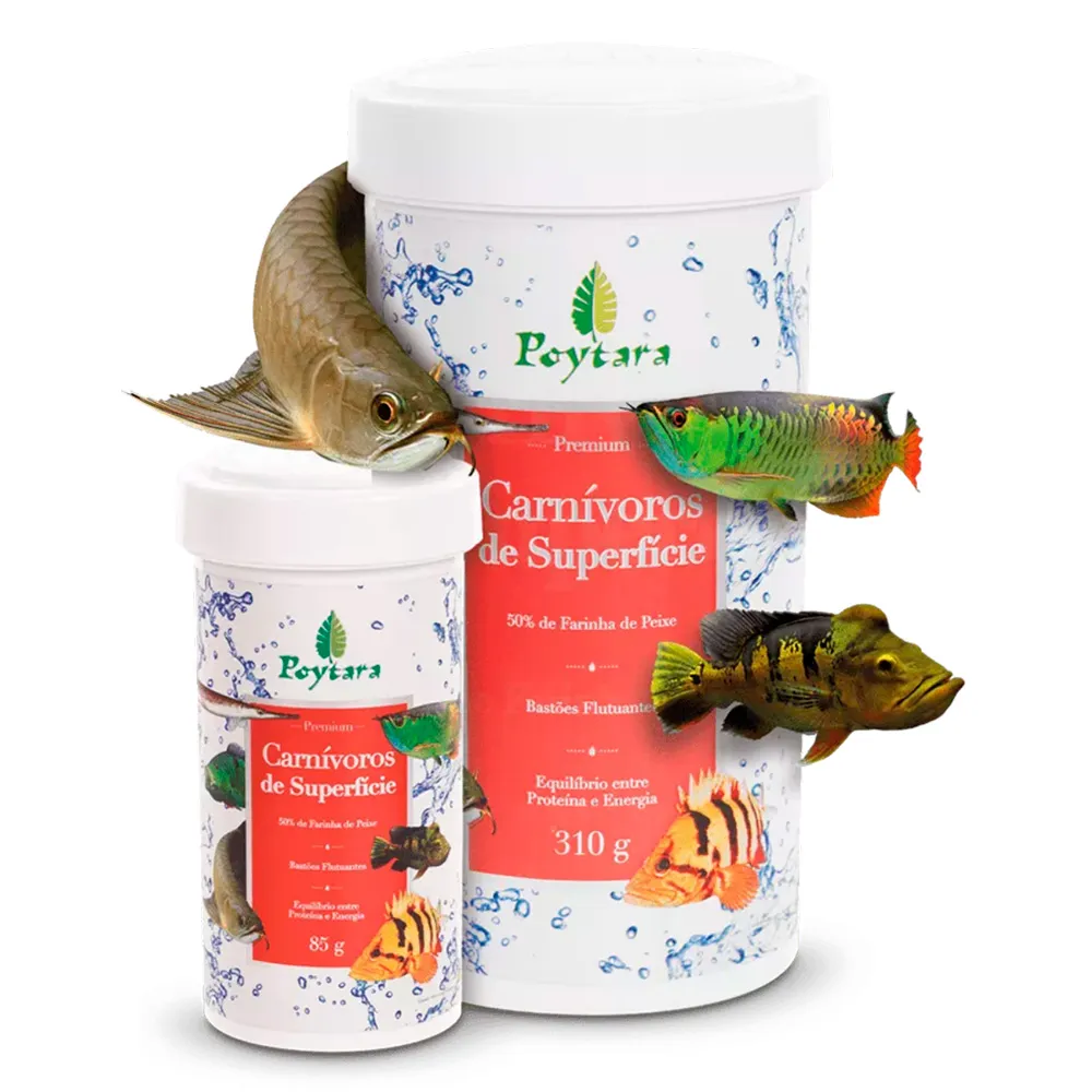 Carnívoros de Superfície Poytara