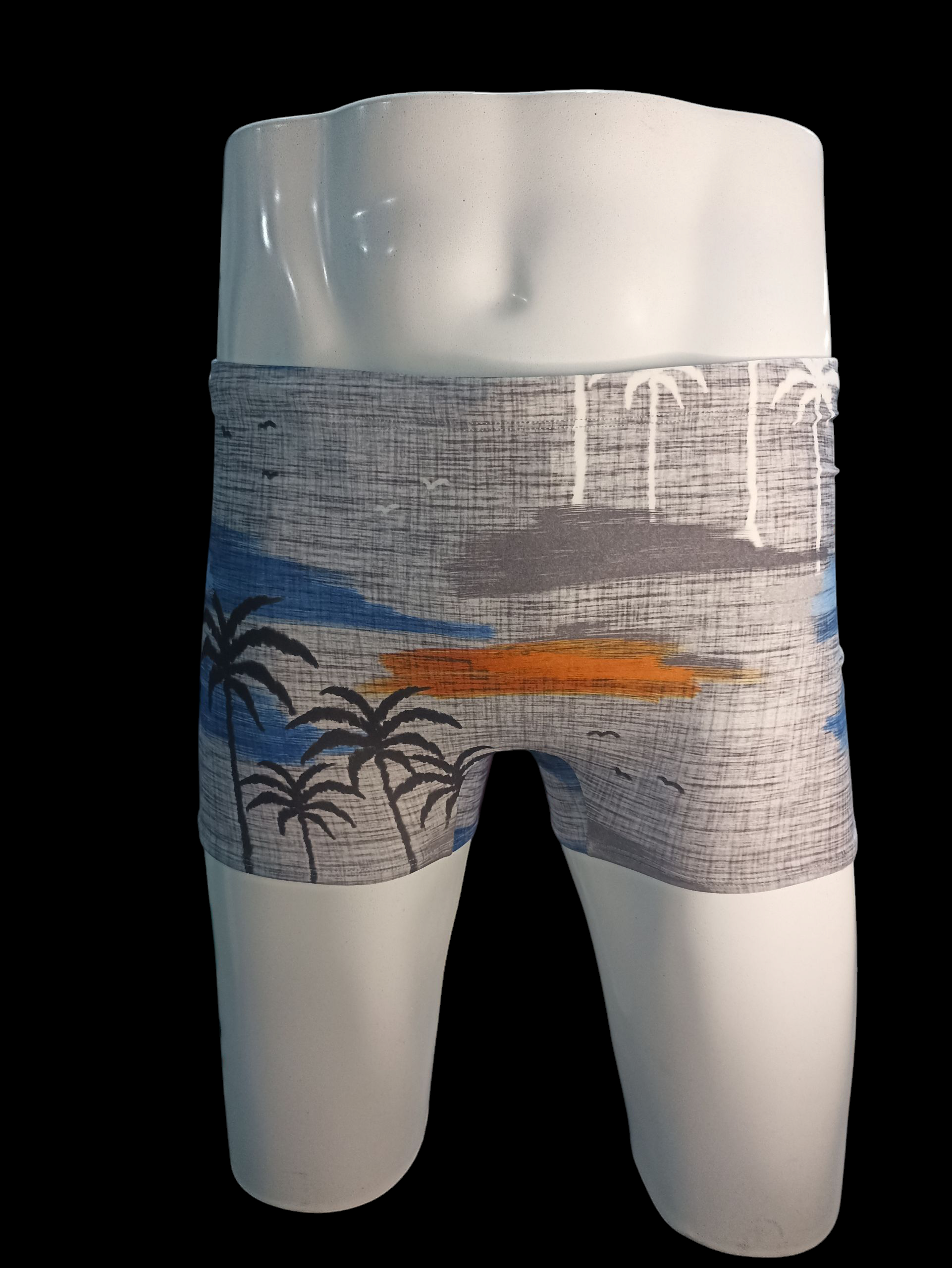 Sunga Masculina M estampa PROMOÇÃO