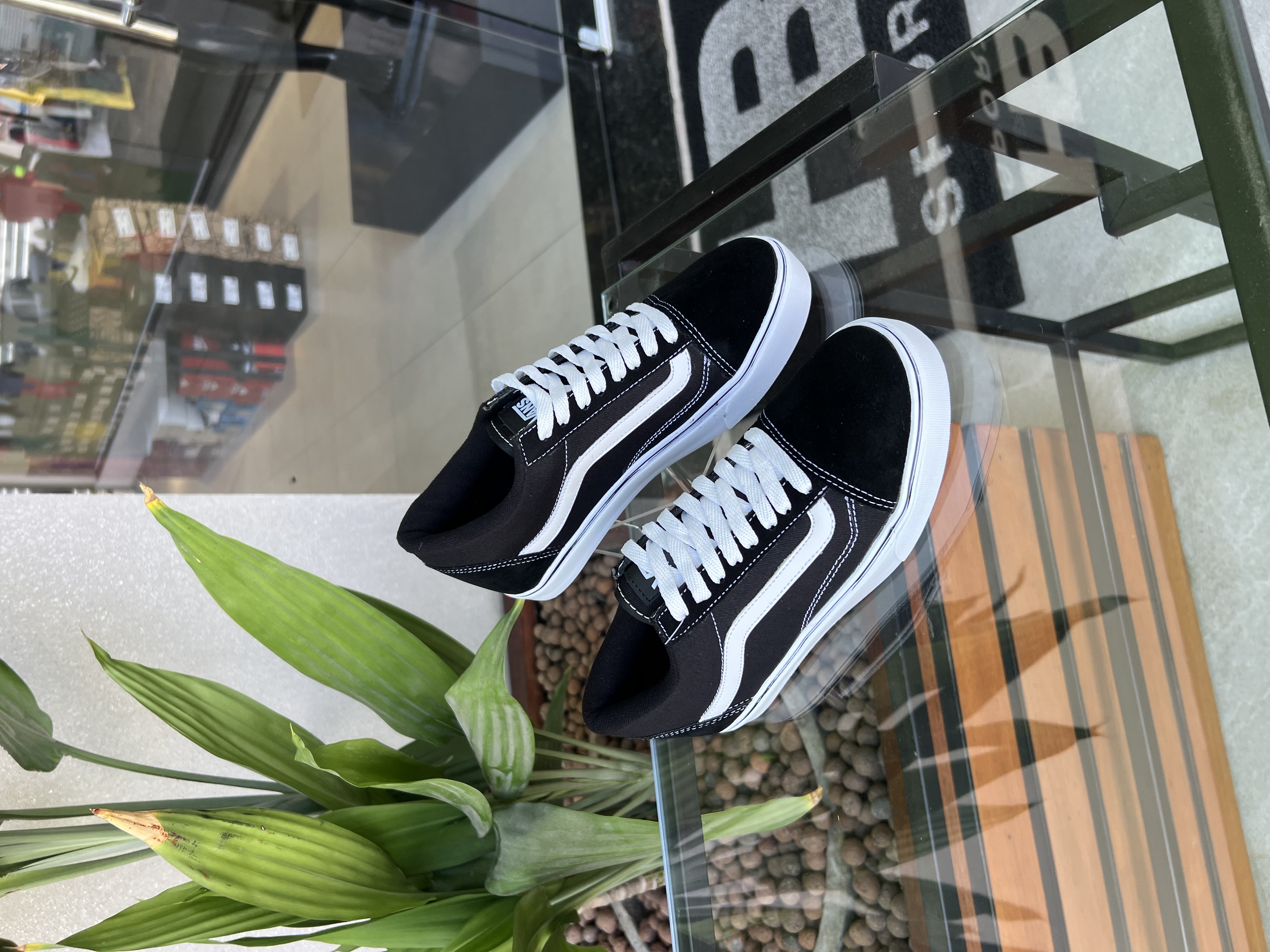 Tenis Vans Tradicional