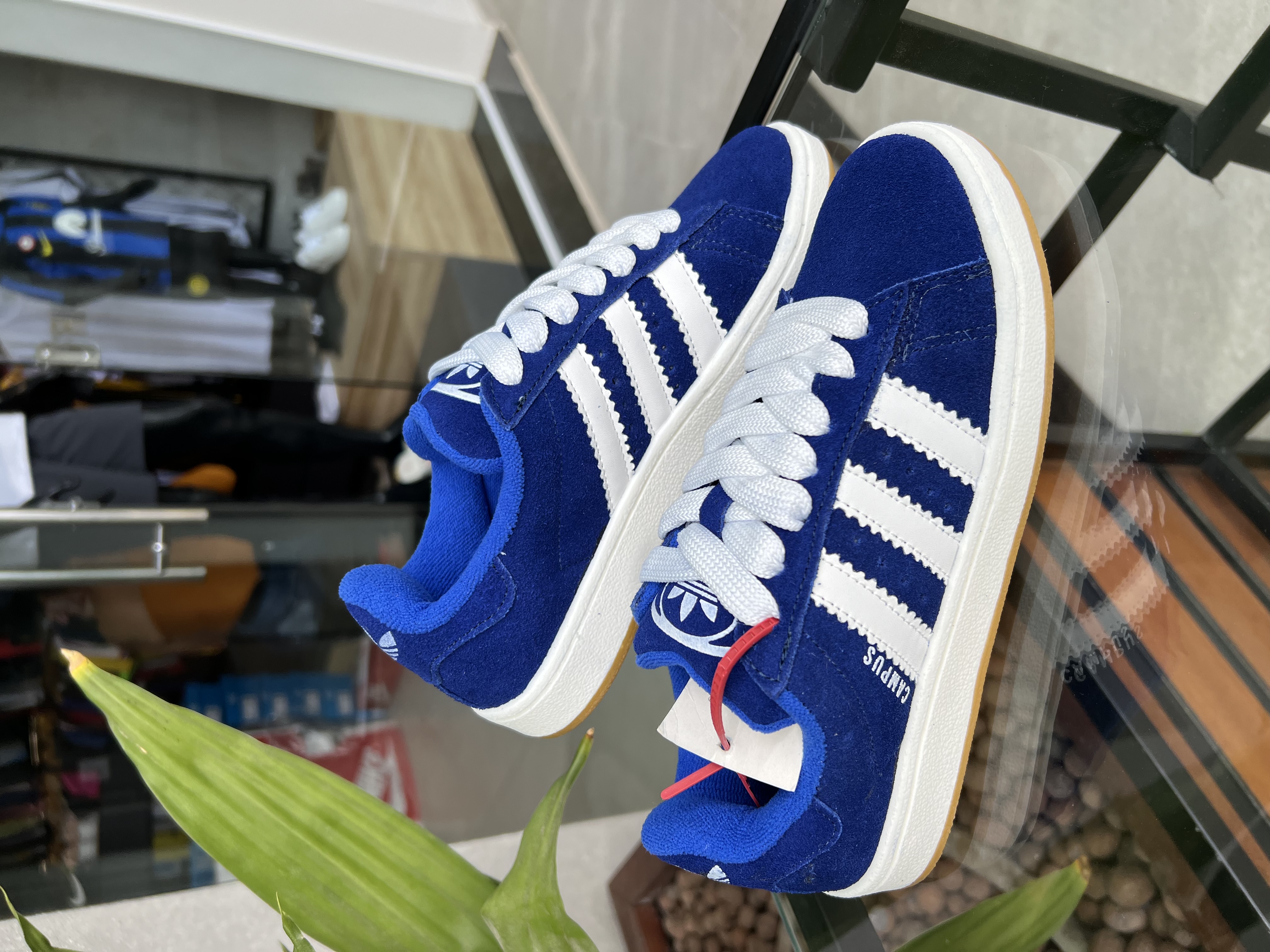 Tenis Adidas Campus Royal