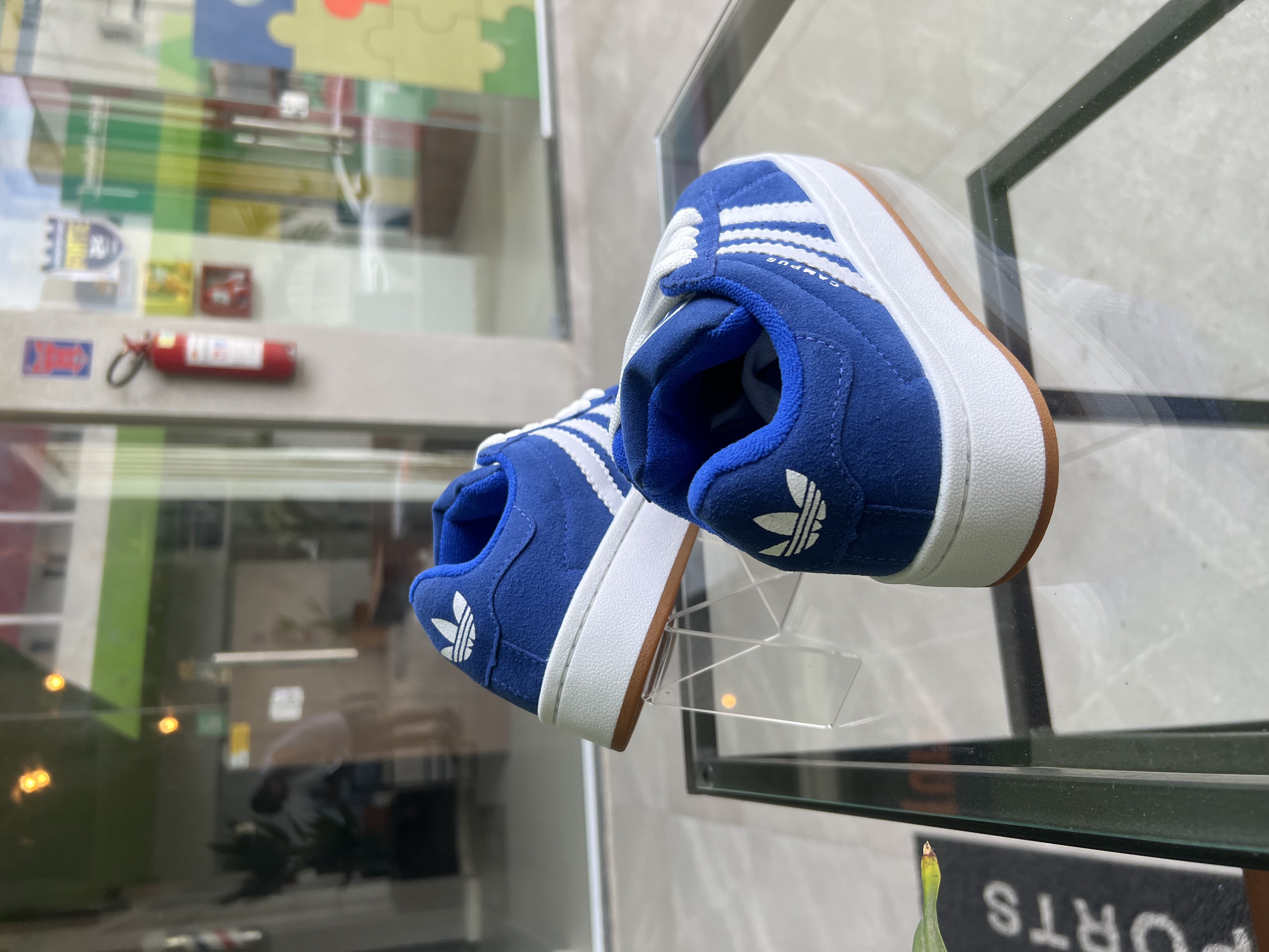 Tenis Adidas Campus Azul