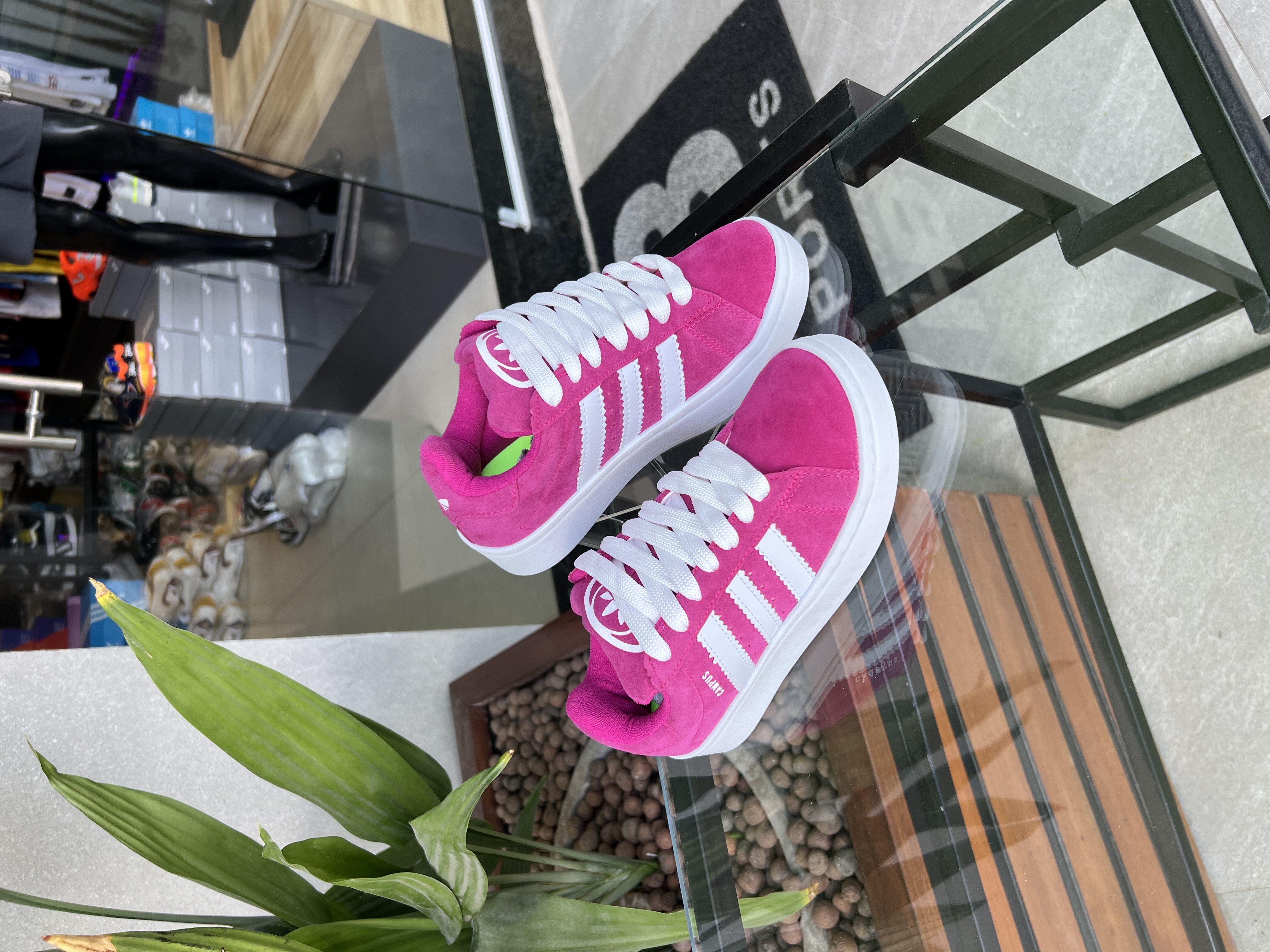 Tenis Adidas Campus Rosa