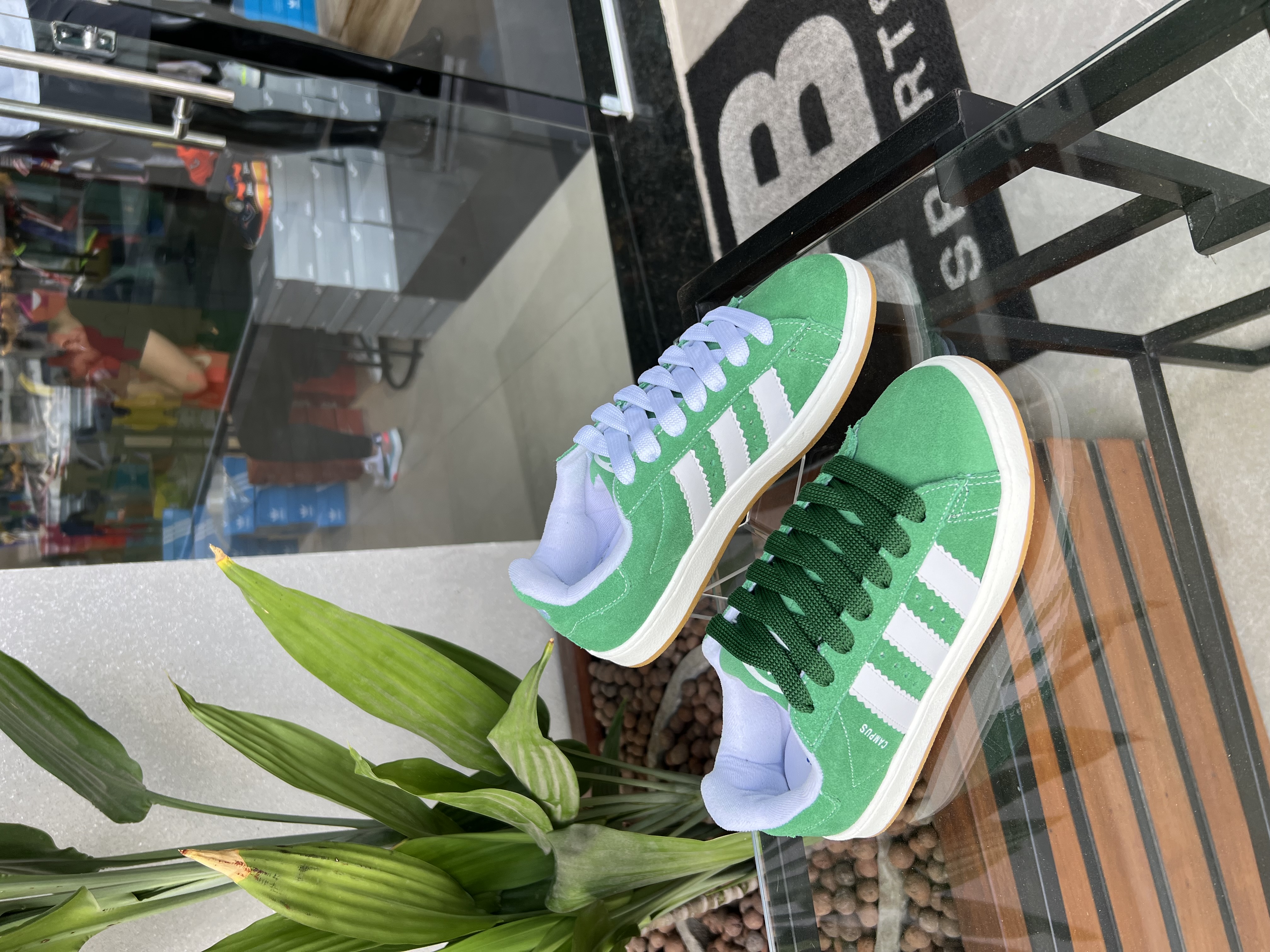 Tênis Adidas Campus Verde