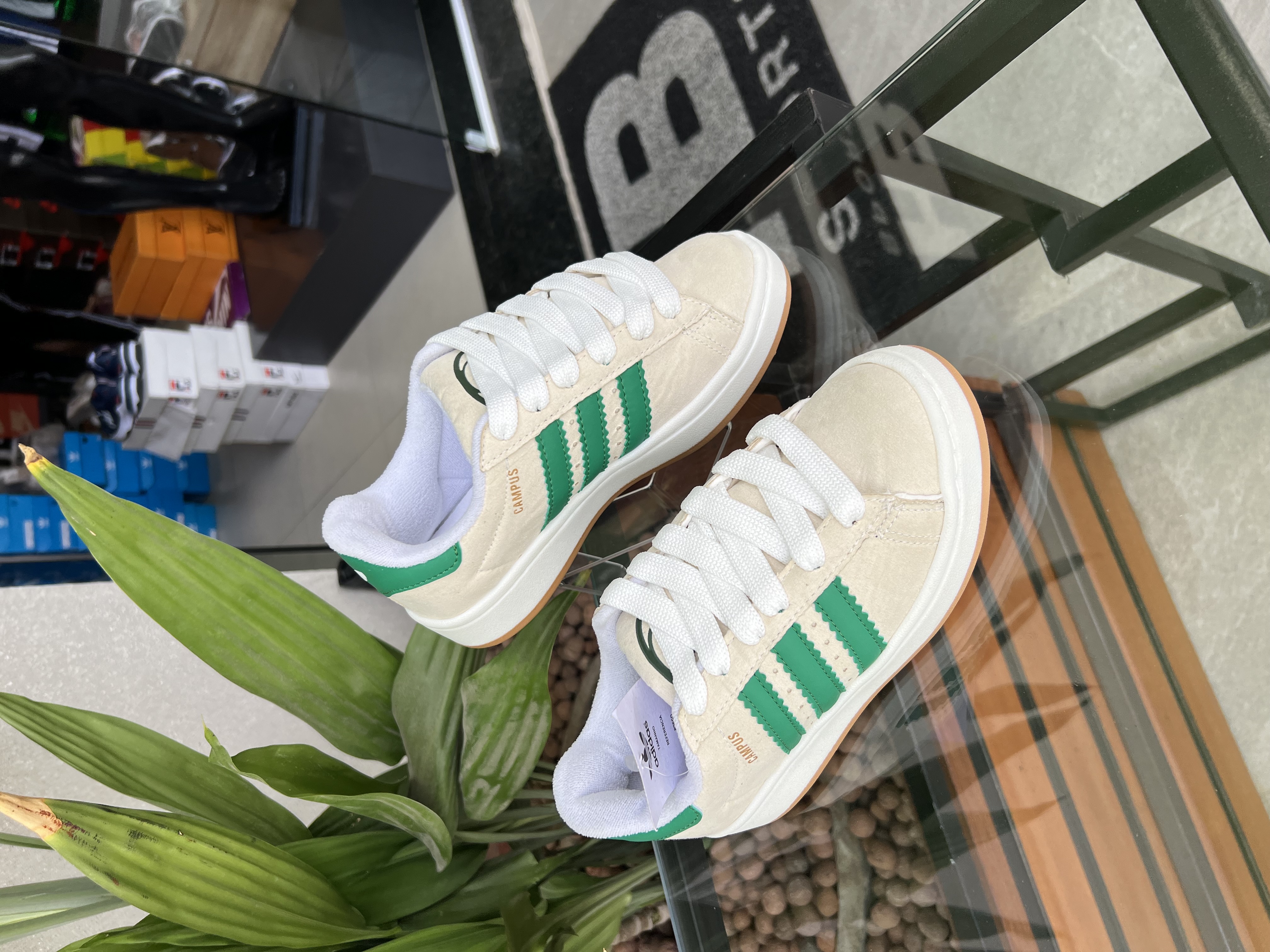 Tenis Adidas Campus Off/Verde